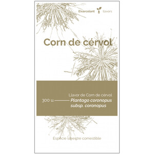 COL·LECTIU EIXARCOLANT. CORN DE CÉRVOL (PLANTAGO CORONOPUS SUBSP. CORONOPUS). LLAVORS DE VARIETATS AGRÍCOLES TRADICIONALS