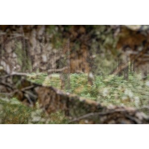 TRAGOPAN LÁMINA 3D DE CAMUFLAJE 1,5X3,5 M 5