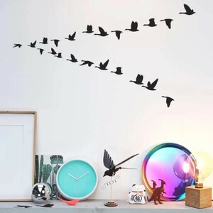 PAPER GOOSE COLLECTION