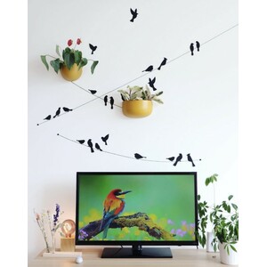 PAPER URBAN BIRDS COLLECTION_1