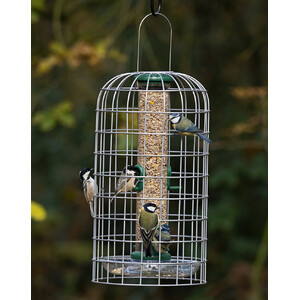 BFG-4 BIRD FEEDER GUARDIANS MEDIANO_1