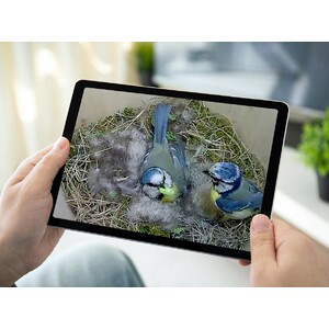 BIRD BOX CAMERA HD CÁMARA A COLOR PARA COLOCAR EN CAJAS NIDO CON CONEXIÓN WIFI 5