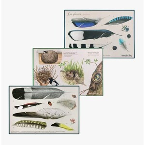 COFFRET DÉCOUVERTE DES OISEAUX (CAIXA PER DESCOBRIR ELS OCELLS/ CAJA PARA DESCUBRIR LAS AVES) 3