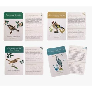 COFFRET DÉCOUVERTE DES OISEAUX (CAIXA PER DESCOBRIR ELS OCELLS/ CAJA PARA DESCUBRIR LAS AVES) 4