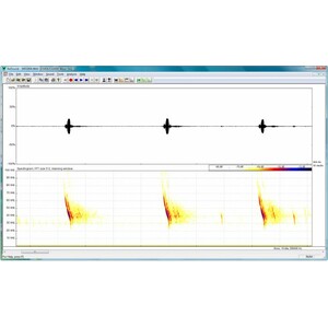 PROGRAMA INFORMÁTICO DE ANÁLISIS DE LOS GRITOS DE MURCIÉLAGOS PETTERSSON BATSOUND REAL-TIME SPECTROGRAM ANALYSIS, VERSION 4.7 - LICENCIA PARA 5 USUARI