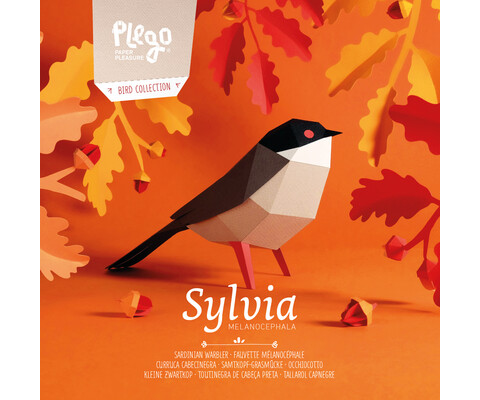 PLEGOPAPER- CURRUCA CABECINEGRA  (TALLAROL CAPNEGRE)