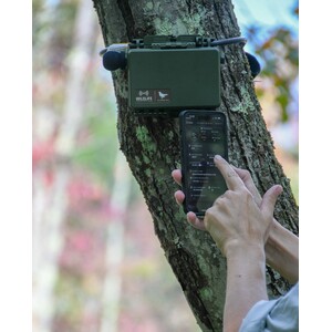 GRABADORA PASIVA DE SONIDOS AUDIBLES SONG METER MINI 2 PARA PILAS DE LITIO DE WILDLIFE ACOUSTICS (SM MINI 2 L)_1