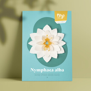 PLEGO POP UP NYMPHAEA ALBA (NENÚFAR))