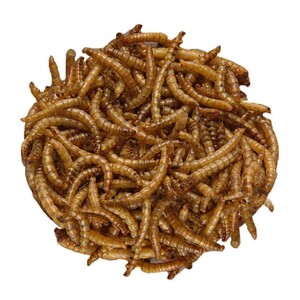 GRANA-MRL-500 LARVAS DE TENEBRIOS DESHIDRATADAS 500G 2