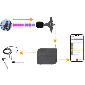 BIRDMIC PACK  MICRÓFONO PARA FAMILIAS_1