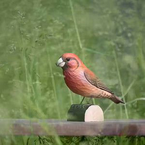DECOBIRD FIGURA DE PIQUITUERTO 2