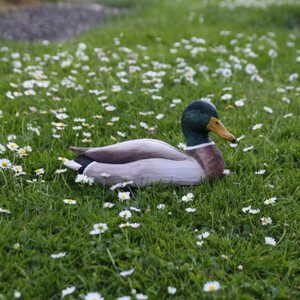 DECOBIRD FIGURA DE ÁNADE AZULÓN_1