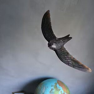 DECOBIRD FIGURA DE VENCEJO COMÚN EN VUELO_1