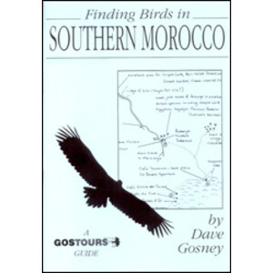 FINDING BIRDS IN SOUTHERN MOROCCO
