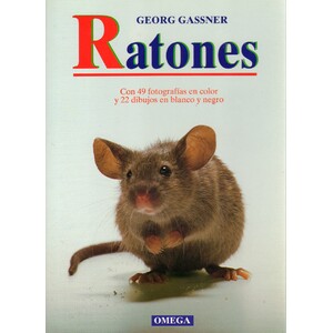 RATONES