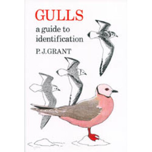 GULLS. A GUIDE TO IDENTIFICATION