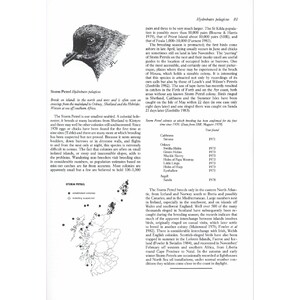 BIRDS IN SCOTLAND 3