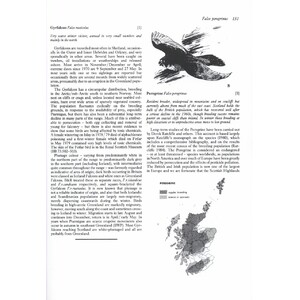 BIRDS IN SCOTLAND 4