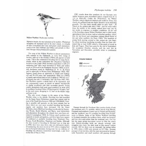 BIRDS IN SCOTLAND 5