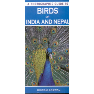 A PHOTOGRAPHIC GUIDE TO BIRDS OF INDIA AND NEPAL