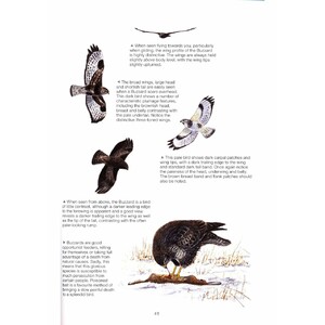 THE COMPLETE GARDEN BIRD BOOK. HOW TO IDENTIFY AND ATTRACT BIRDS TO YOUR GARDEN 2N EDITION_1