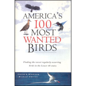 AMERICA'S 100 MOST WANTED BIRDS.  FINDING THE RAREST REGULARLY OCCURING BIRDS IN THE LOWER 48 STATES