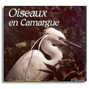 OISEAUX EN CAMARGUE