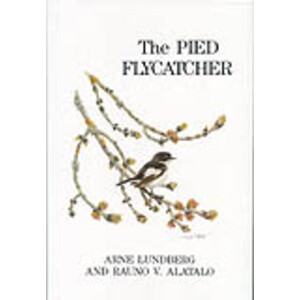 THE PIED FLYCATCHER
