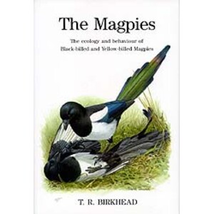 THE MAGPIES. THE ECOLOGY AND BEHAVIOUR OF BLACK-BILLED AND YELLOW-BILLED MAGPIES