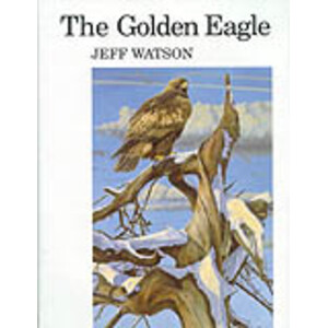 THE GOLDEN EAGLE