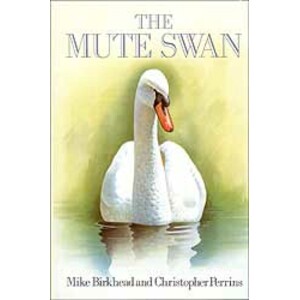 THE MUTE SWAN
