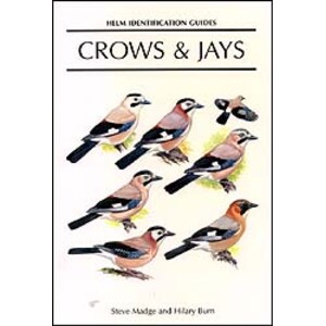 HELM IDENTIFICATION GUIDES. CROWS &AMP; JAYS