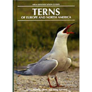 HELM IDENTIFICATION GUIDES. TERNS OF EUROPE AND NORTH AMERICA