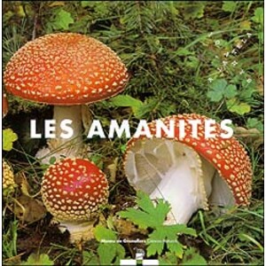 LES AMANITES