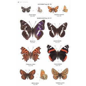 COLLINS BUTTERFLY GUIDE. THE MOST COMPLETE GUIDE TO THE BUTTERFLIES OF BRITAIN AND EUROPE 3