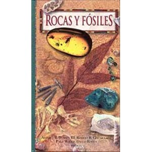 ROCAS Y FÓSILES