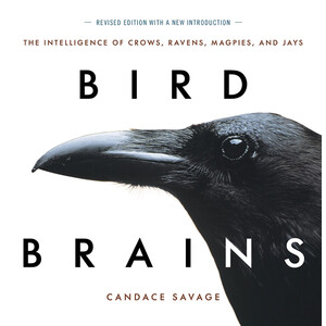 BIRD BRAINS. THE INTELLIGENCE OF CROWS, RAVENS, MAGPIES AND JAYS
