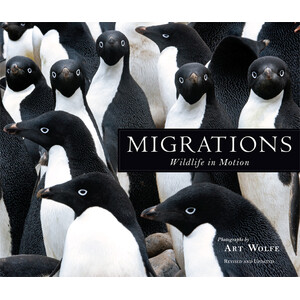 MIGRATIONS. WILDLIFE IN MOTION