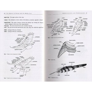 THE RAPTORS OF EUROPE AND THE MIDDLE EAST. A HANDBOOK OF FIELD IDENTIFICATION. 2