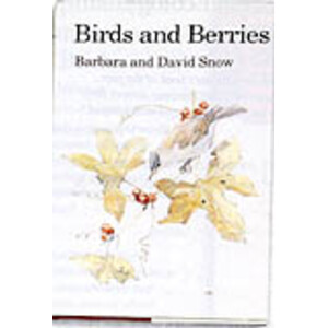 BIRDS AND BERRIES