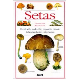 SETAS. IDENTIFICACIÓN, RECOLECCIÓN Y PREPARACIÓN CULINARIA DE LAS SETAS SILVESTRES Y OTROS HONGOS