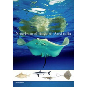 SHARKS AND RAYS OF AUSTRALIA.