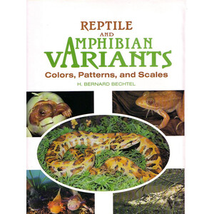 REPTILE AND AMPHIBIAN VARIANTS. COLORS, PATTERNS AND SCALES