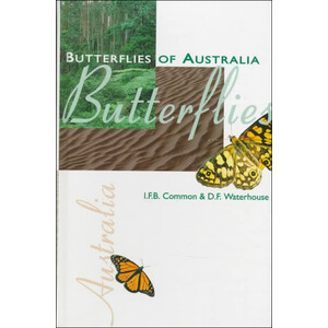 BUTTERFLIES OF AUSTRALIA.