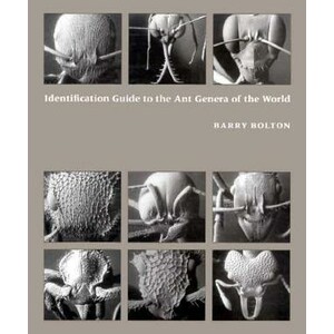 IDENTIFICATION GUIDE TO THE ANT GENERA OF THE WORLD