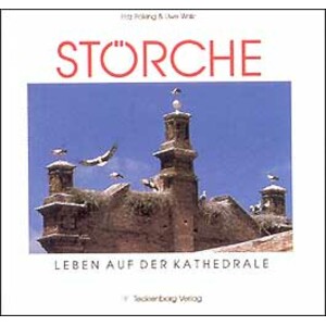 STÖRCHE