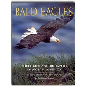 BALD EAGLES. THEIR LIFE AND BEHAVIOR IN NORTH AMERICA
