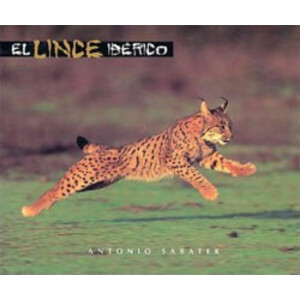 EL LINCE IBERICO