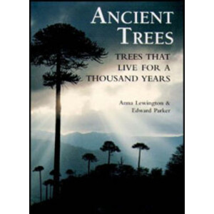 ANCIENT TREES. TREES THAT LIVE FOR 1.000 YEARS