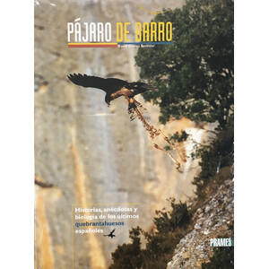 PÁJARO DE BARRO. HISTORIAS, ANÉCDOTAS Y BIOLOGÍA DE LOS ÚLTIMOS QUEBRANTHUESOS ESPAÑOLES